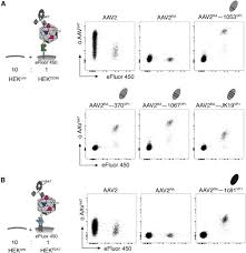 Image result for Black 1995 AAV