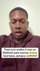 1240 Walton Avenue Violence