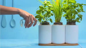 Lilo Indoor Herb Garden Pret A Pousser