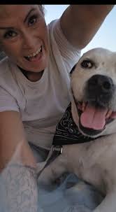 Through no fault of her own, sweet ROSIE girl is back