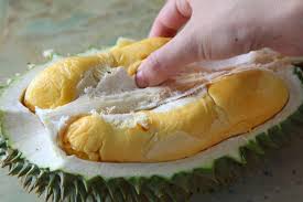 Balik pulau is a town within the jurisdiction of penang island city council in the malaysian state of penang. Penang Balik Pulau Durian