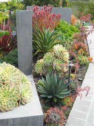 Ca Friendly Design Ideas Roger S Gardens Modern Garden Landscaping Succulent Landscape Design Succulent Landscaping