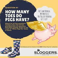 A male pig is called a boar while a female is called a gilt if she hasn't given birth, and a sow if she has given birth. Sloggers First Pig Trivia Contest Question Once All Five Questions Are Posted Watch For Link To Enter Your Answers For A Chance To Win A Pairs When Pigs Fly Shoes Or
