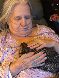 What are suggestions for helping a hen with a hard crop?