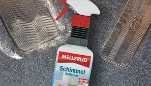 Schimmel wächst nicht von heute auf morgen. Auto Schimmel Entfernen Anleitung Zur Schimmelentfernung Im Innenraum 83metoo