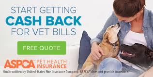 16 aspca jobs available on indeed.com. Pet Insurance In Clayton Nc Amelia Grace Animal Hospital