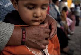 An Immigrant in New York Is a Candidate in Mexico