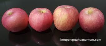 Buah apel juga merupakan buah dengan kandungan vitamin b dan c sehingga sangat baik jika dikonsumsi baik itu untuk orang. Kandungan Gizi Buah Apel Dan Manfaat Buah Apel Bagi Kesehatan Ilmu Pengetahuan Umum