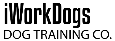 We focus on obedience and basic commands, helping your pet master the basics of crate training and housebreaking, good manners on a leash, etc. Dog Board Train In Los Angeles Ca Iworkdogs Dog Training Co