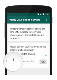 You may need to establish or reset your pin in order to complete the transfer. How To Use Whatsapp Without Phone Number Sim Card Mobipicker