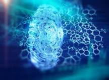 Resultado de imagen para por que son las identidades digitales