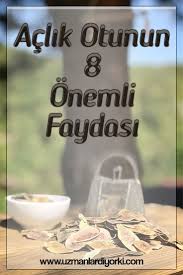 aclik otunun faydalari nelerdir otlar diyet ipuclari saglikli iliskiler