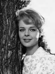 Der Pfandleiher (TV Movie 1971)