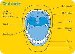 In addition to a lump, swelling or thickness in the neck, some other warning signs and symptoms of throat cancer include: Head And Neck Cancers Overview Cancer Council Victoria