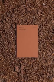 Kids' colors tweens & teens. Sherwin Williams 2019 Color Of The Year Western Paint Colors Sherwin Williams Paint Colors Color Of The Year