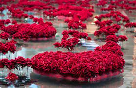 There are lot of ways to wish a good morning like sending good morning text messages, sending good morning images for whatsapp and sending e greetings, and sending good morning pics is the most popular way to wish a good morning, many peoples search on the google for the term good morning wishes with flowers. Good Morning Quotes With Roses Quotesgram