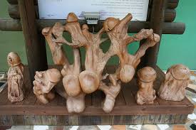 Entra y aprende todo sobre la madera, propiedades de la madera, los tipos de maderas cada tipo de madera tiene propiedades individuales que son ventajosas según el propósito y el área de. Aerang Y Los Penes De Samcheok K Pop Mexico