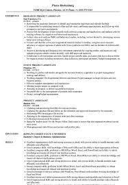 project assistant resume samples