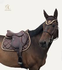 Tapis De Selle Bonnet Chocolat Or Alexandra Ledermann Sportswear Bonnet Cheval Double Poney Cheval