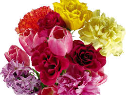 Blumen und blumensträuße gibt es in verschiedenen formen und auch mit einem blumenstrauß kann man daher stets viele verschiedene geschmäcker bedienen. Hintergrundbilder Rosen Nelken Tulpen Hyazinthe Blumen Strauss Weisser Hintergrund 1800x1350 Goodfon 1080633 Hintergrundbilder Wallhere