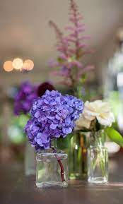 Those that are below the water line should absolutely be removed! Cut Hydrangea Care Plant Addicts