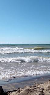 Allegan street lansing, mi 48909 website. Van Buren State Park Campground Reviews South Haven Mi Tripadvisor