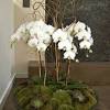 Our orchid artificial flowers are different from products of other brands. 3