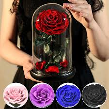 Eternal Rose Beauty And The Beast Preserved Rose Flower In Glass Dome Led Light Forever Gift For Valentine Mother Day Christmas Artificial Dried Flowers Aliexpress