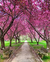Spring In West Chester West Chester Beautiful Places Hiking Trip