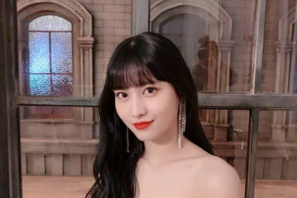 Hasil gambar untuk momo"