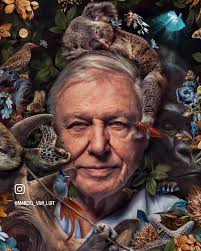 SIr David Attenborough turns 99!, 🎁🎂🎉