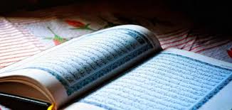 بحث عن القرآن الكريم سطور