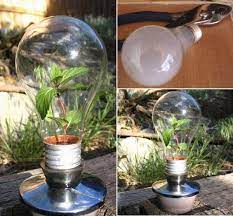 Pin On Ideas For Diy Greenhouse