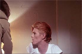 We did not find results for: The Man Who Fell To Earth The Man Who Fell To Earth Fan Art 40712736 Fanpop