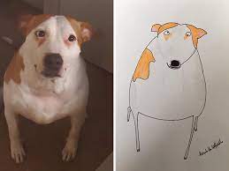 He was so excited the day i came over to photograph him. Man Who S Never Drawn In His Life Does Crappy Pet Portraits For Charity And Raises Over 13 6k 30 New Pics Bored Panda