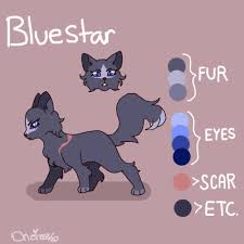 Warriorcats warriors cats thunderclan cat bluefur firestar warrior bluestarsprophecy erinhunter. C Cat Cats Firestar And Bluestar Design Refs I Tweaked