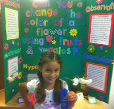 Check spelling or type a new query. Image Result For Science Fair Projects Color Changing Flowers Science Fair Fair Projects Science Fair Projects