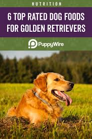 Young dogs will need plenty of calories. Best Dog Food For Golden Retrievers Top 6 Picks W Reviews Best Dog Food Golden Retriever Dog Food Recipes