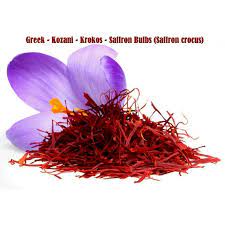 Saffron Bulbs Saffron Crocus Price 3 75