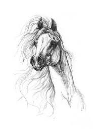 We did not find results for: Horse Sketch Drawings Fine Art America