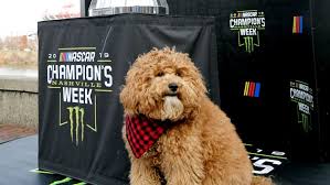 When will each of the season's races be broadcast? Nascar Xfinity Series 2020 Schedule Tv Assignments Race Times Dates Tracks