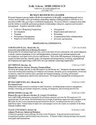 Lawyer cv template, work duties, personal summary, career history, professional experience, legal competencies. Human Resource Counsel Resume Example Hr Attorney