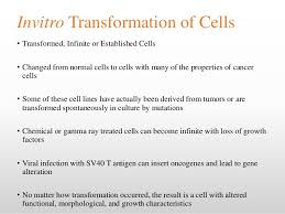 Animal cell culture technique is the process of developing cells invitro in a lab providing them invivo slideshare uses cookies to improve functionality and performance, and to provide you with relevant we use your linkedin profile and activity data to personalize ads and to show you more relevant ads. Animal Cell Culture Techniques