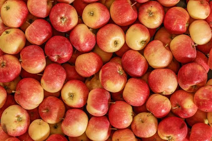 Image result for apples"