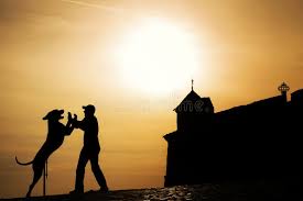 Sunset Dogs View 1 Ear Up Railroad Stock Image