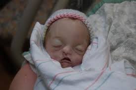 Little Angel : Addison Ward's Tribute picture gallery