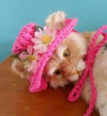 Crocheted Cat Or Dog Sunhat Summer Pet Bonnet Spring Flower Cat Hat Pink Dog Hat Crochet Cat Crochet Dog Dog Hats