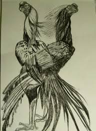  Pin By Colosal Figther On Parrot Beak Aseel Animal Coloring Books Beautiful Chickens Funny Tattoos