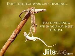 Pin By Travis Smith On Jiu Jitsu Amazing Animal Pictures Animal Photo Animal Pictures