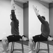 Image result for Shoulder Range of Motion